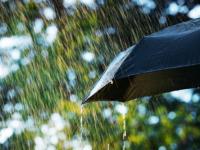CMIB insurance | Weather forecast